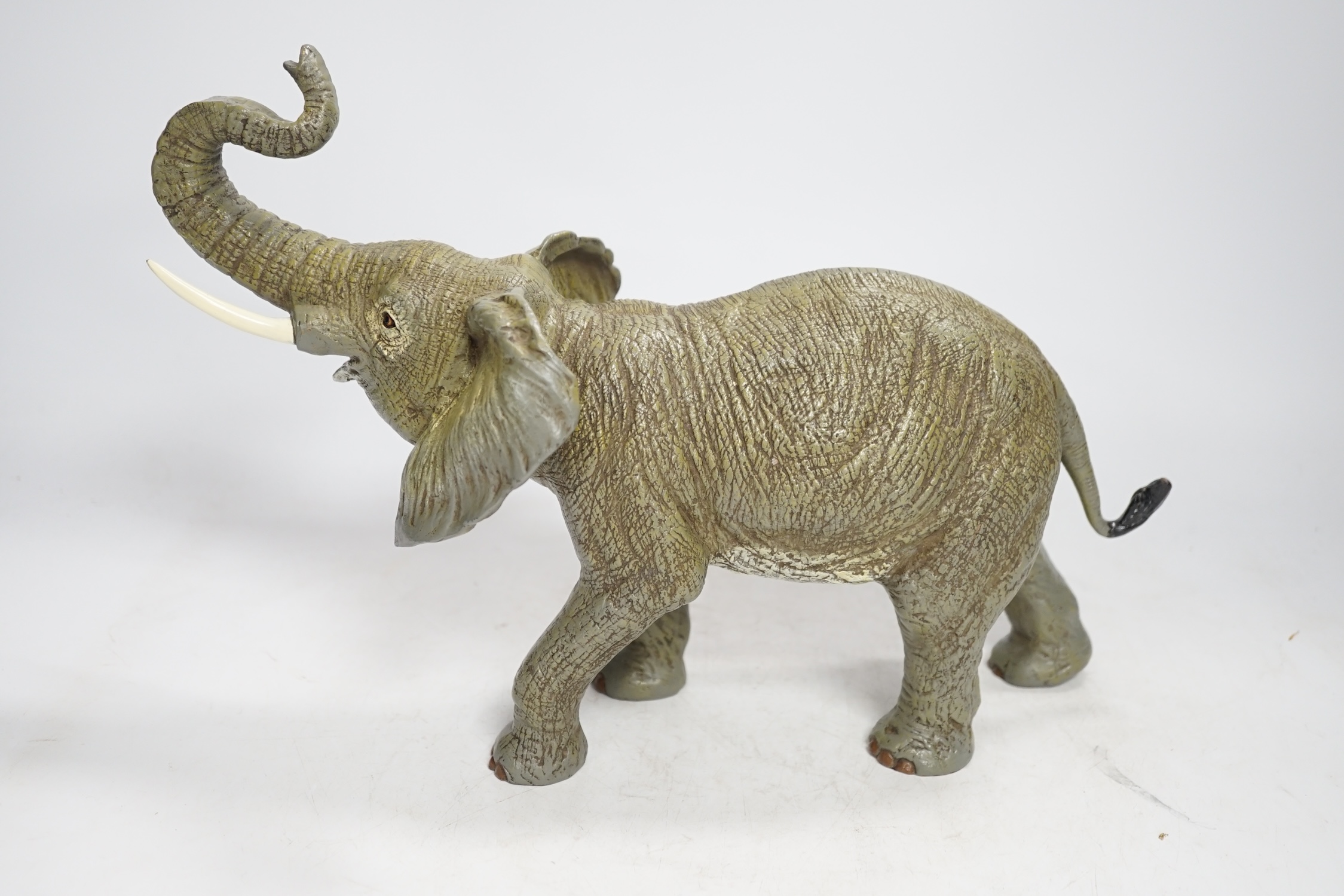 A Franz Bergman style cold painted bronze elephant, 33.5cm wide. Condition - good